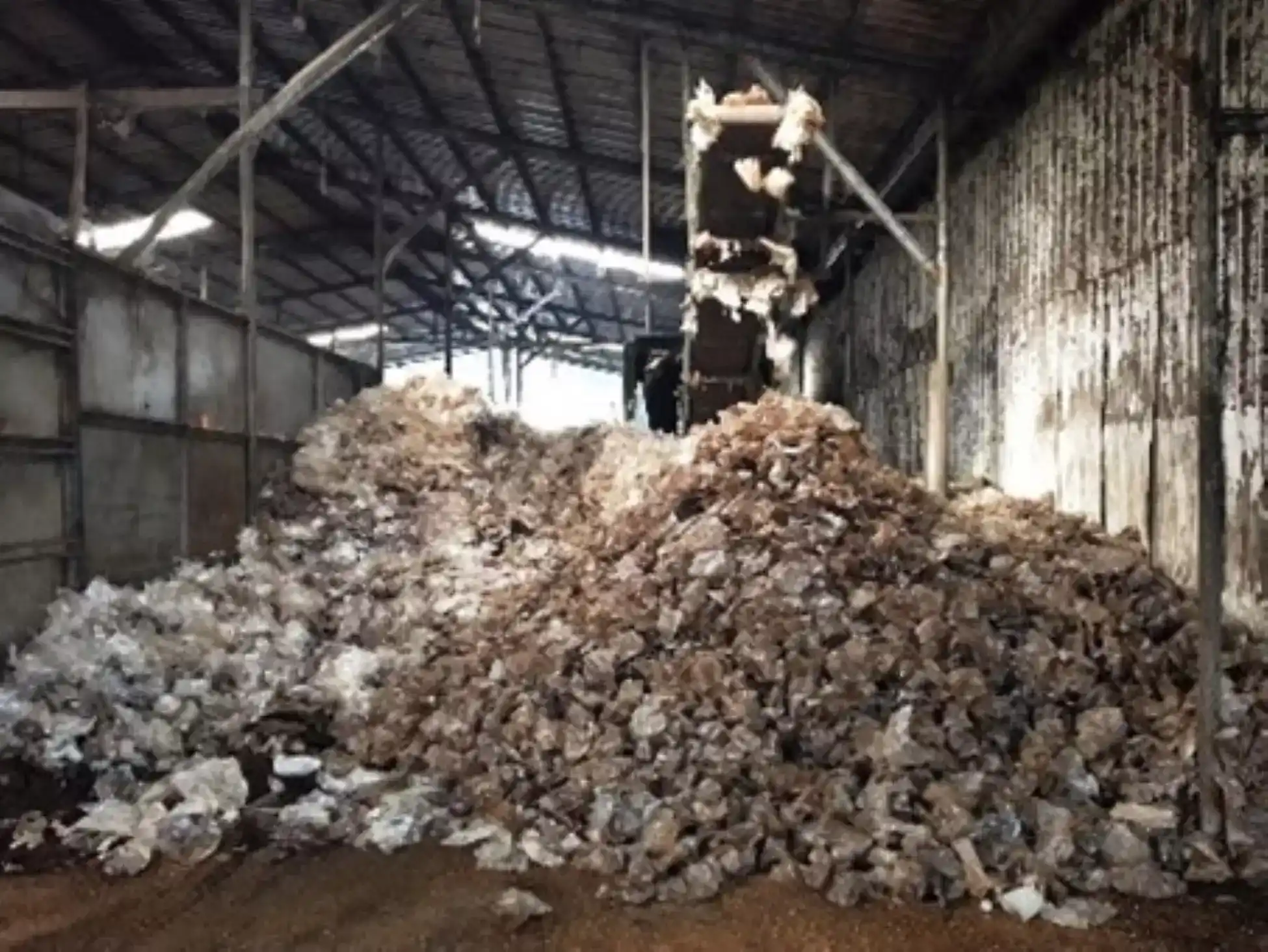 分離後的菇包塑膠袋