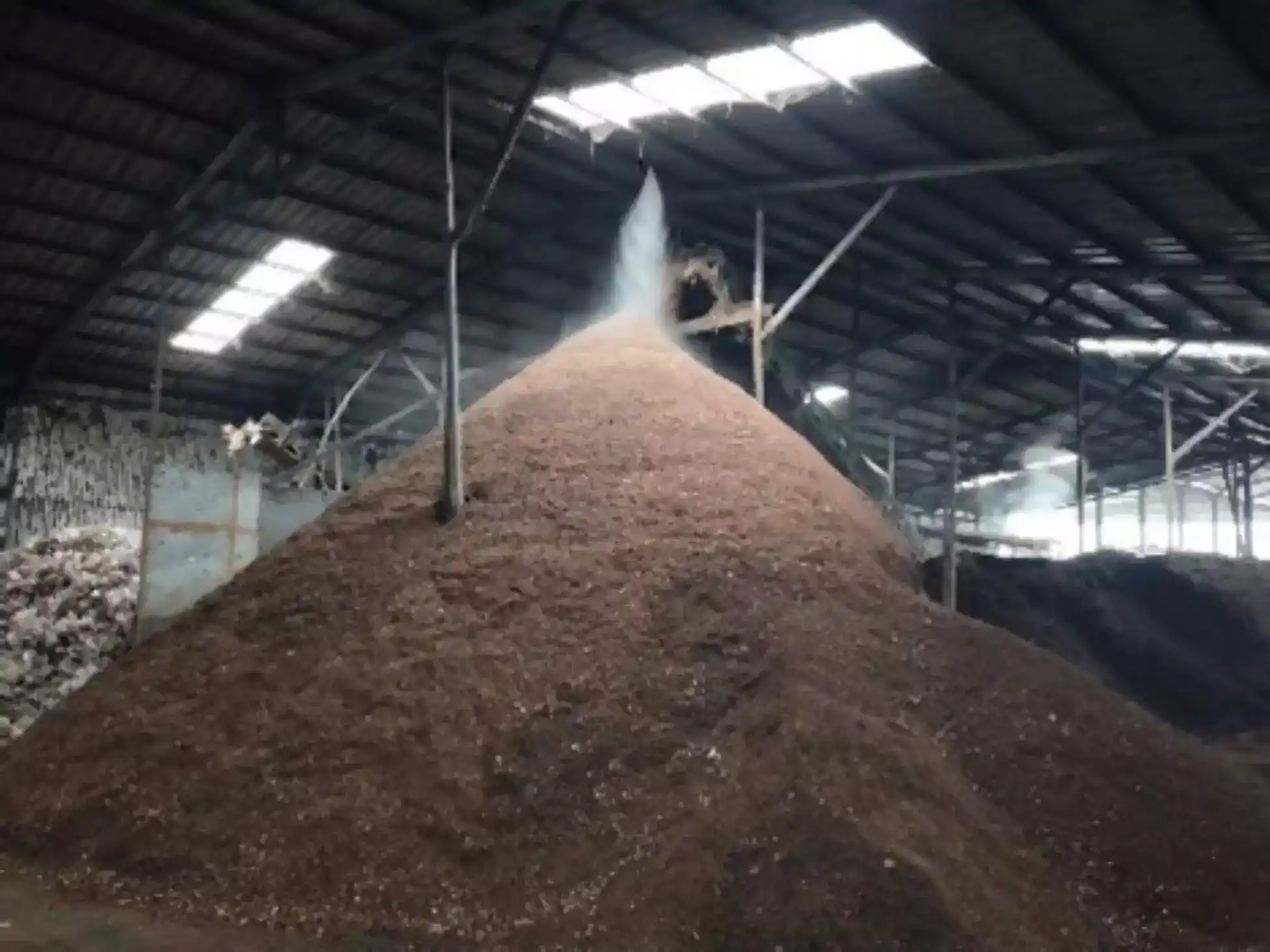 木屑噴灑木黴菌