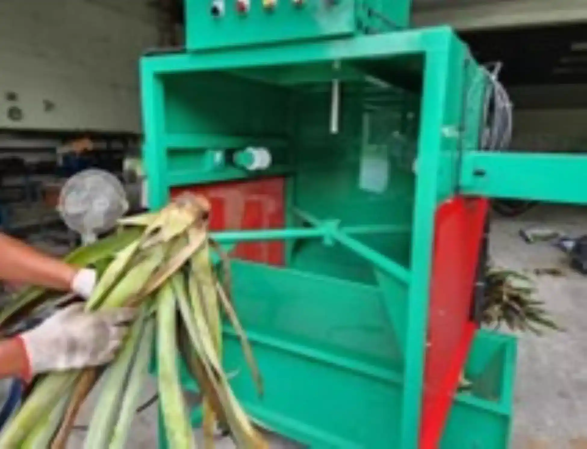 鳳梨植株莖葉分離機