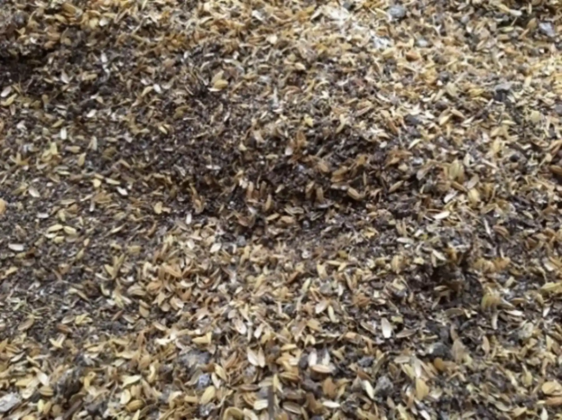 農漁畜剩餘物質堆肥發酵製程改進與產品