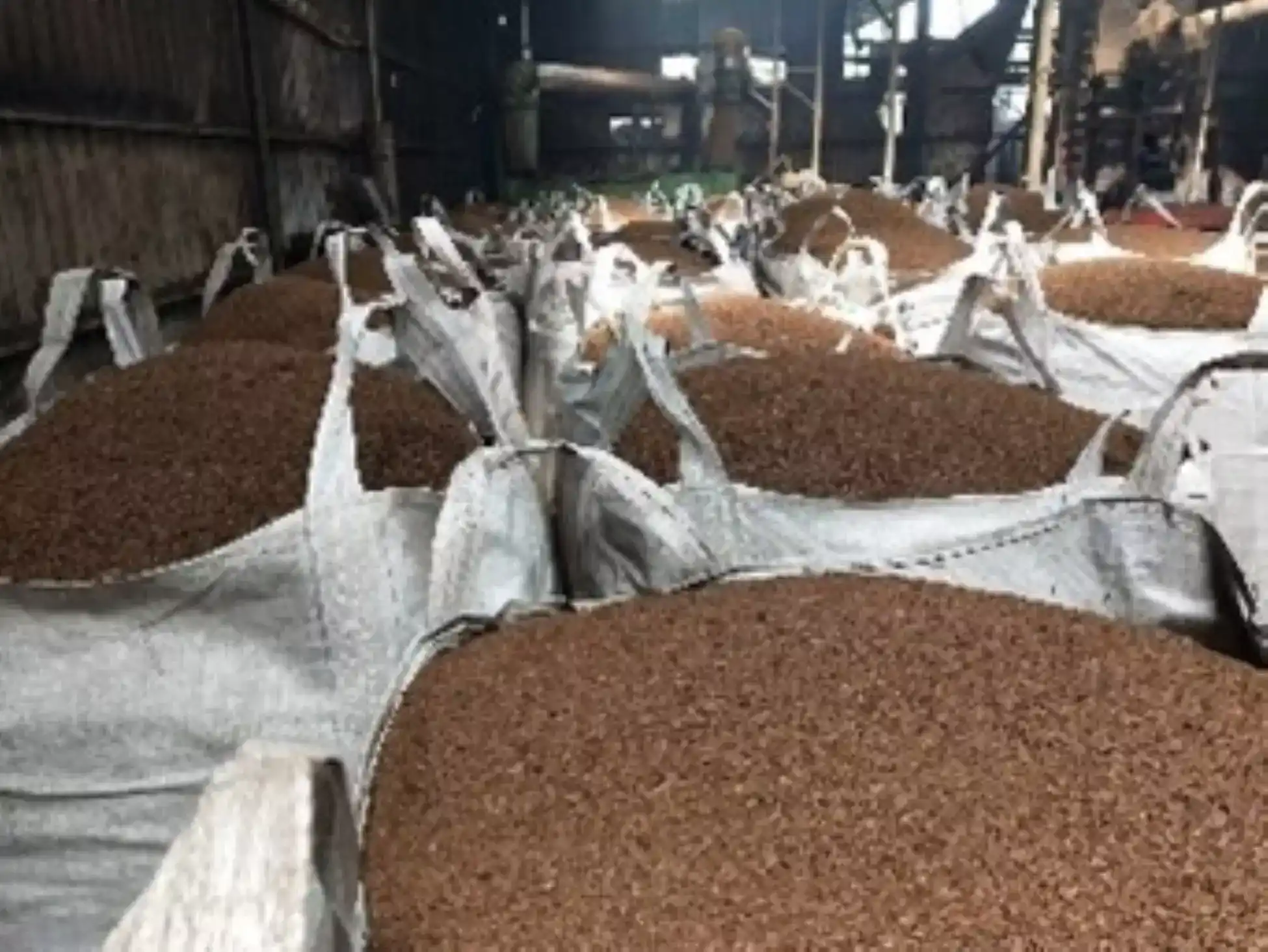 烘乾處理後的木屑