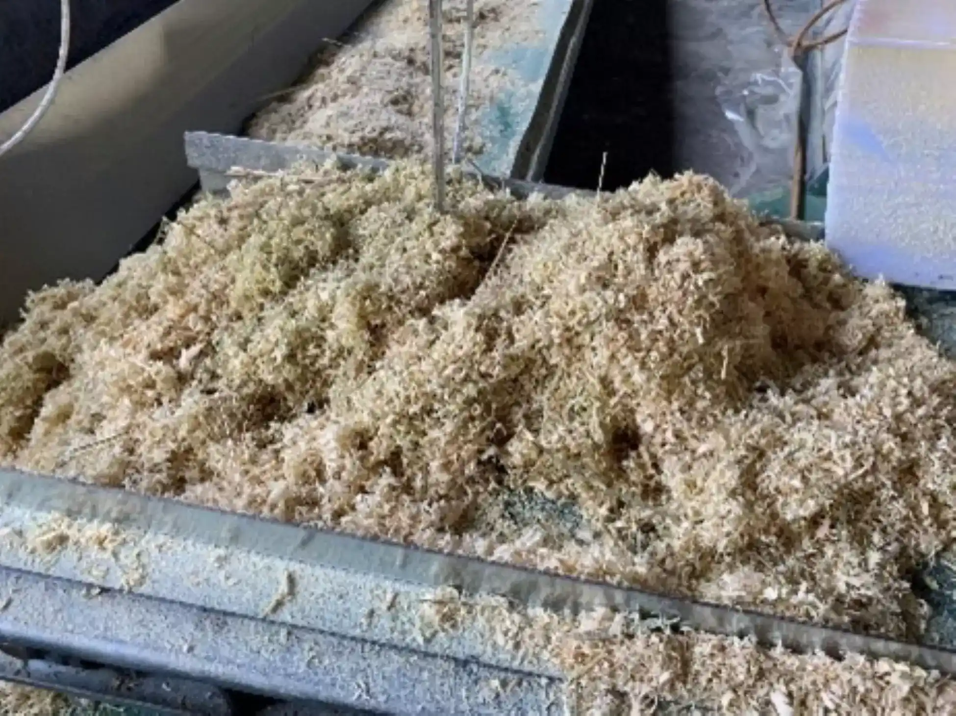 木竹加工後之木竹屑